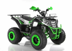 Квадроцикл Wels Evo X2 200cc