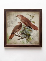 Картина на стену интерьерная на хосте 22,5*22,5 см