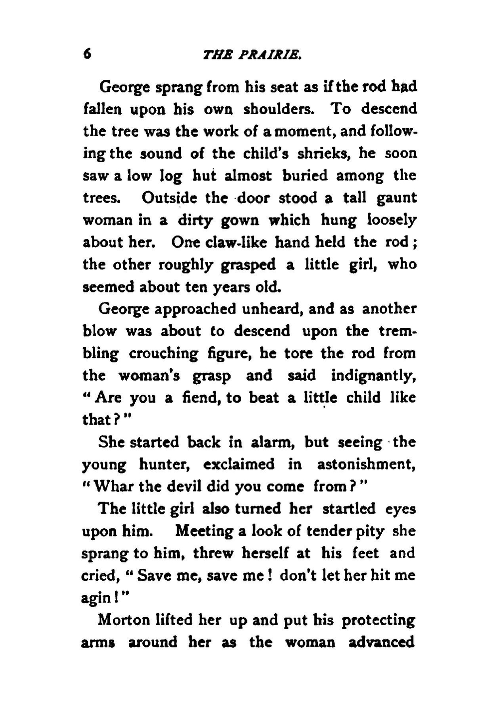 A Long Search | Mary Abigail Roe