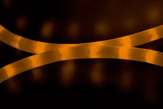 Дюралайт светодиодный 2-х проводной, диаметр 13 мм., 220В, желтые LED лампы 36 шт на 1 м., бухта 100 м., матовый, статика, Teamprof (TPF-DL-2WHM-100-240-Y)