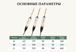 Эксперт solid