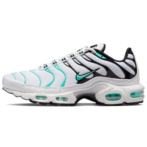Кроссовки Nike Air Max Plus Мужские