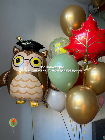 Набор шаров Совушка