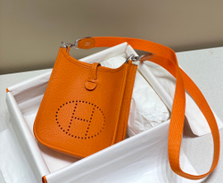Hermes Evelyne Mini