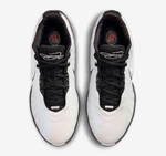 Заказать в Москве Nike LeBron 21 Conchiolin