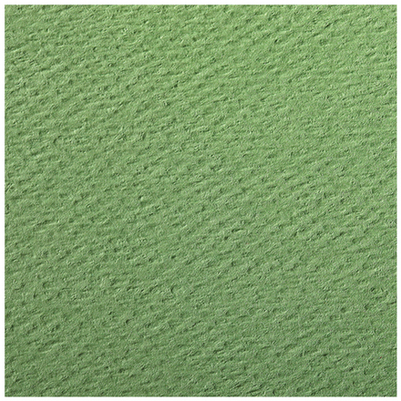 Цветная бумага 500*650мм., Clairefontaine "Etival color", 24л., 160г/м2, зеленое яблоко, легкое зерно, хлопок