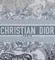 Сумка Dior Book Tote, синий
