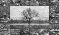 GRAYSCALE 11