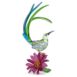 IDYLLIA:SUGARBIRD AND CACTUS FLOWER