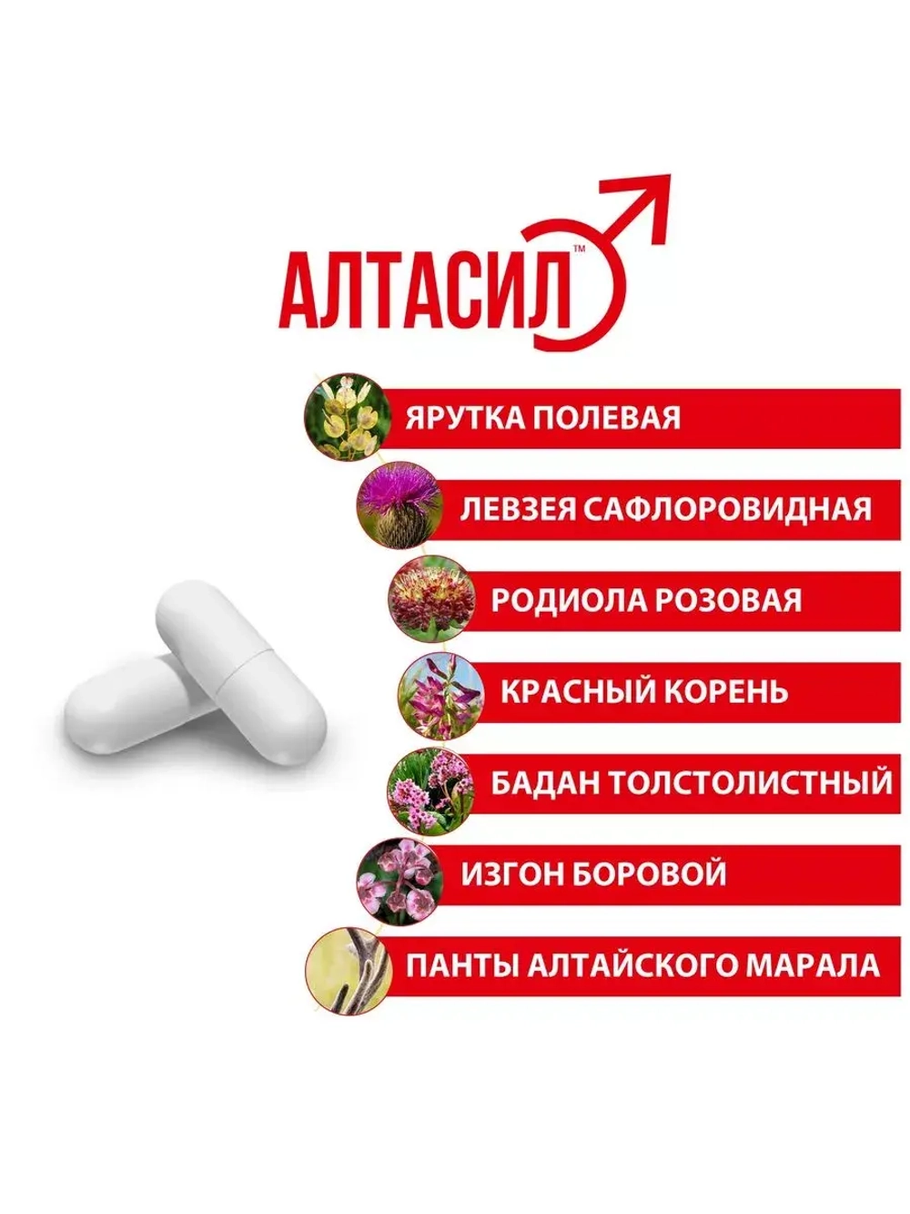 АЛТАСИЛ 60 капсул для мужчин E-0428