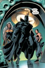 Комикс Гражданская война. Чёрная Пантера