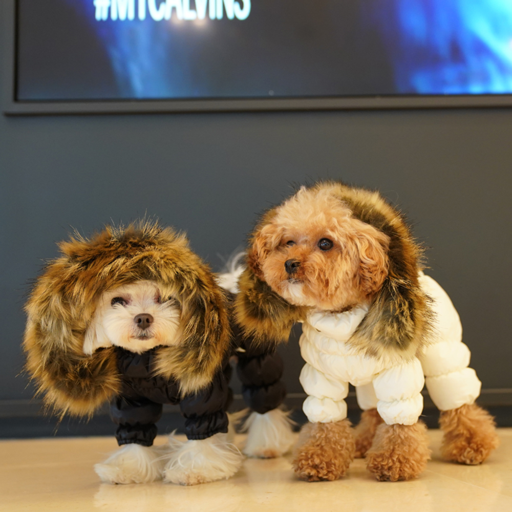 442 PA-OW Комбинезон зимний, унисекс