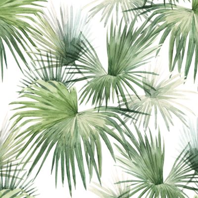 Пальмовые листья