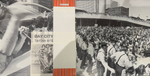 Виниловая пластинка Bay City Rollers ‎– Dedication LP