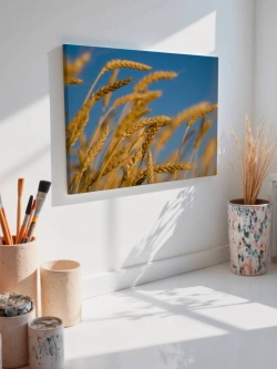 Картина на стену 40 X 50 Пшеница