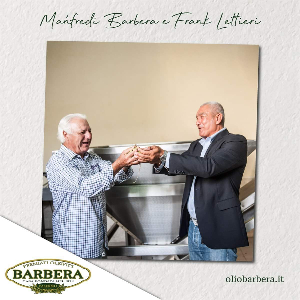 Оливковое масло BARBERA Novello Contadino, 500 мл, Италия, урожая 24/25