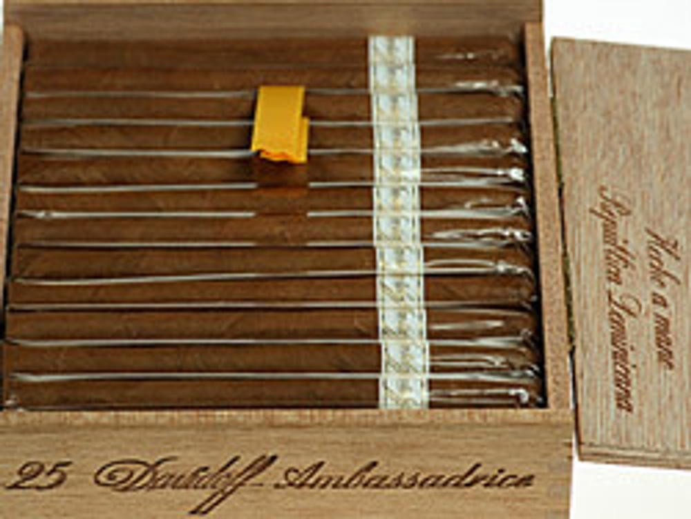 Davidoff Ambassadrice