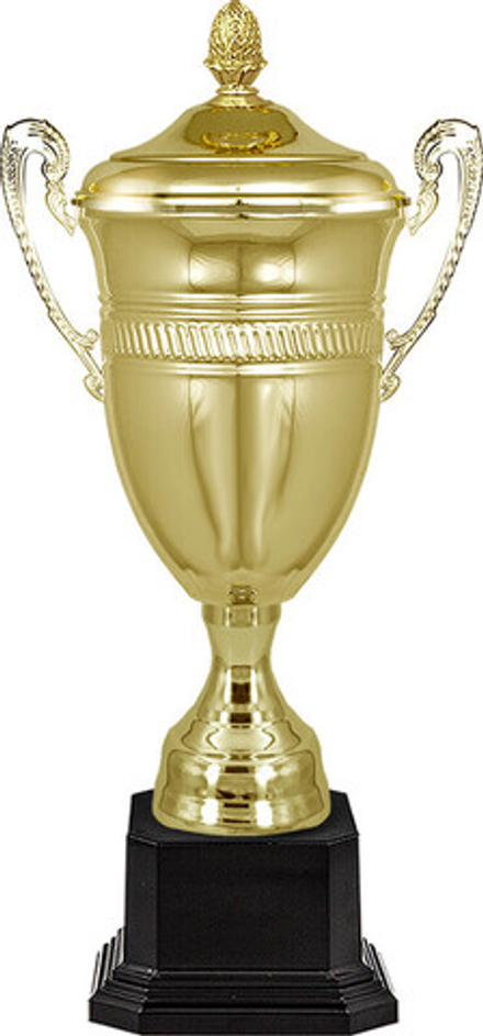 Кубок "Майкл"