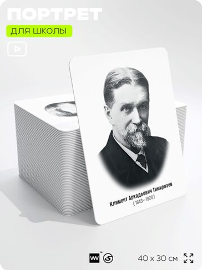 Портрет для школы в кабинет биологии "Климент Аркадьевич Тимирязев", стенд школьный для класса, деятели науки для оформления классного уголка, 40х30 см, Silver Plane x Айдентика Технолоджи