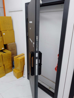 Дверь входная GM-50