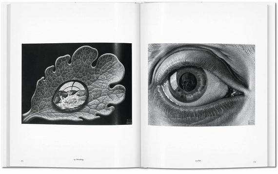M.C. Escher: The Graphic Work (Basic Art Series 2.0)