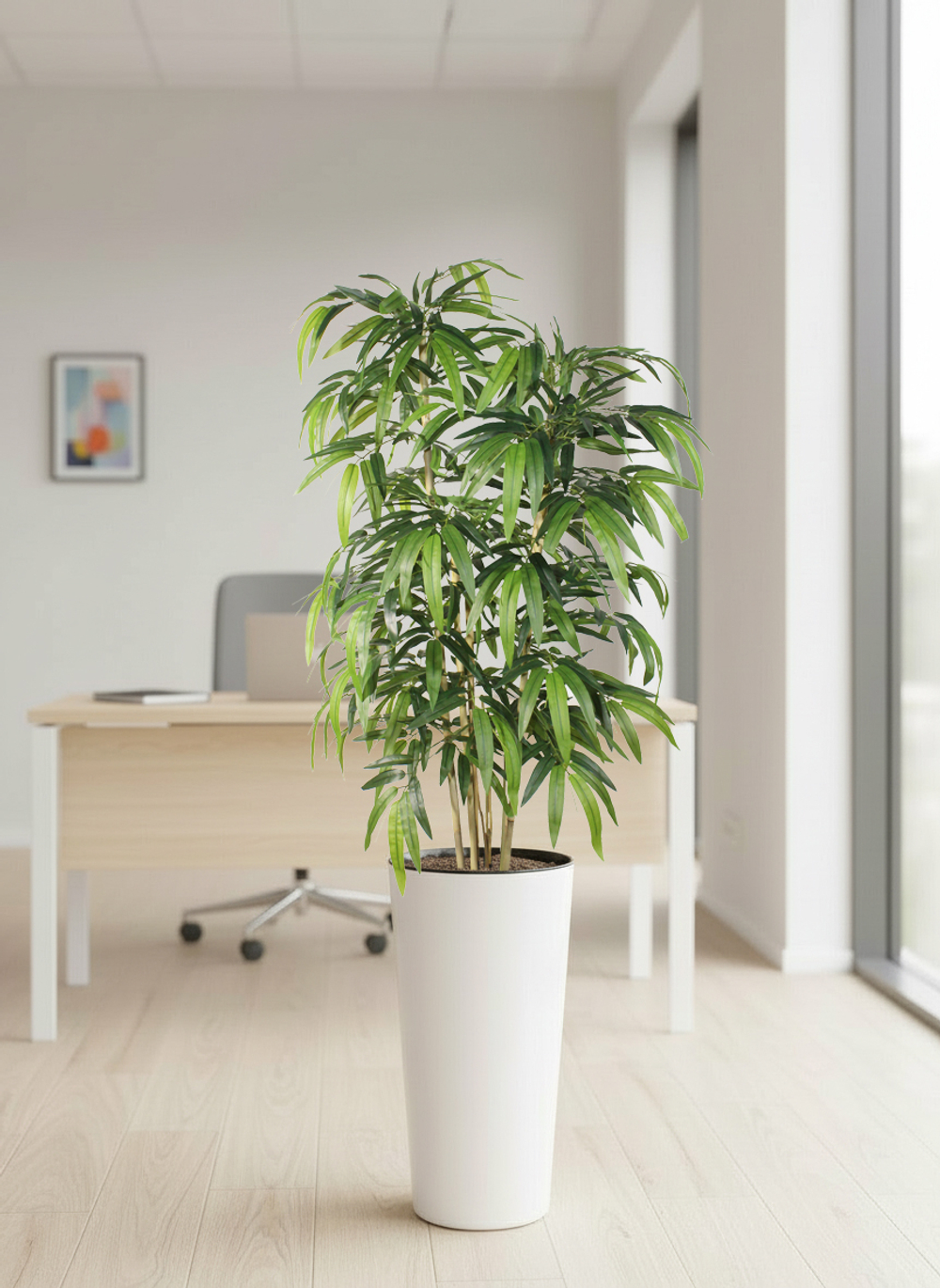 Бамбук темный в высоком белом глянцевом кашпо