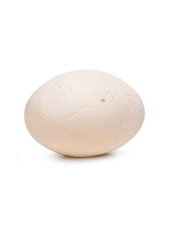 Игровой набор раскопки Яйцо динозавра (AT669)