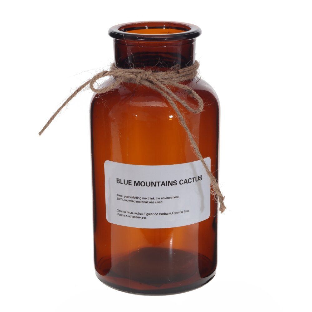 GAEM Ваза, L8 W8 H16 см, 2в.