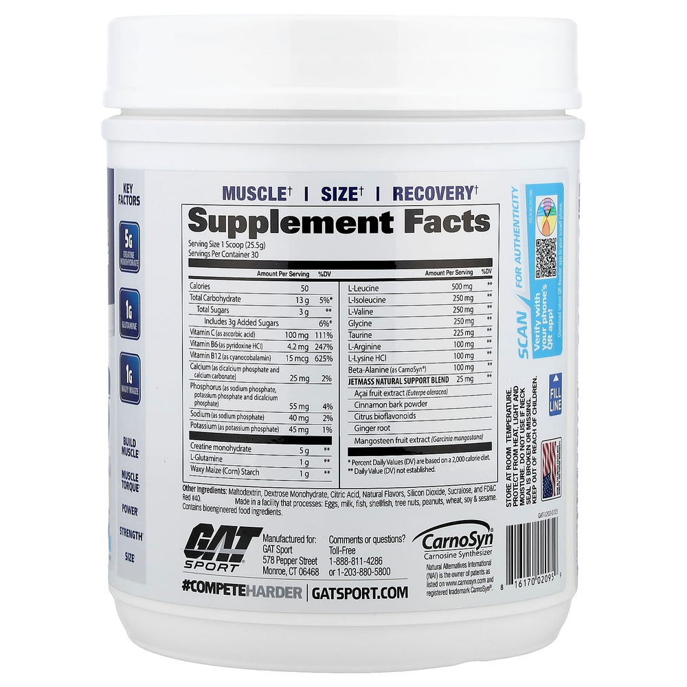 GAT, JetMASS®, система креатина быстрого действия для увеличения объема, тропический лед, 765 г (1,7 фунта)