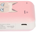 Внешний аккумулятор Ritmix RPB-10007 Grumpy Cat 10000 mAh