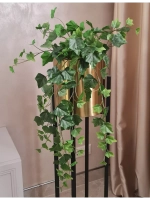 Плющ декоративный 76см