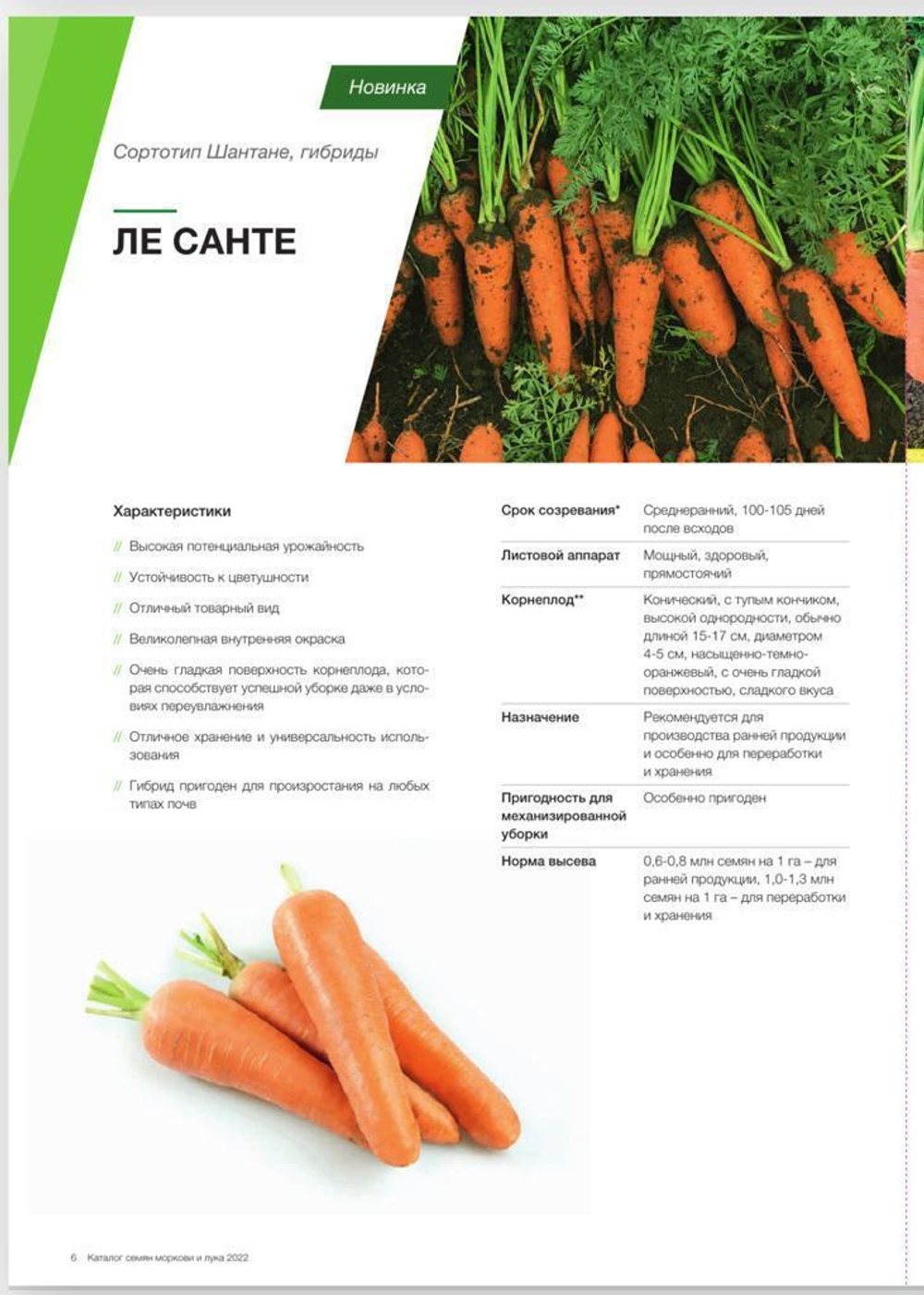 Ле Санте F1 семена моркови шантане (Seminis / Семинис)