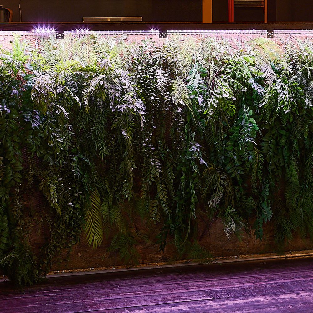 ULS-P71-2835-42LED-m-IP65-3M-SPLE RRP24C00 Комплект светодиодной ленты 3м. Спектр для фотосинтеза. Адаптер 24Вт. Блистер. TM Uniel