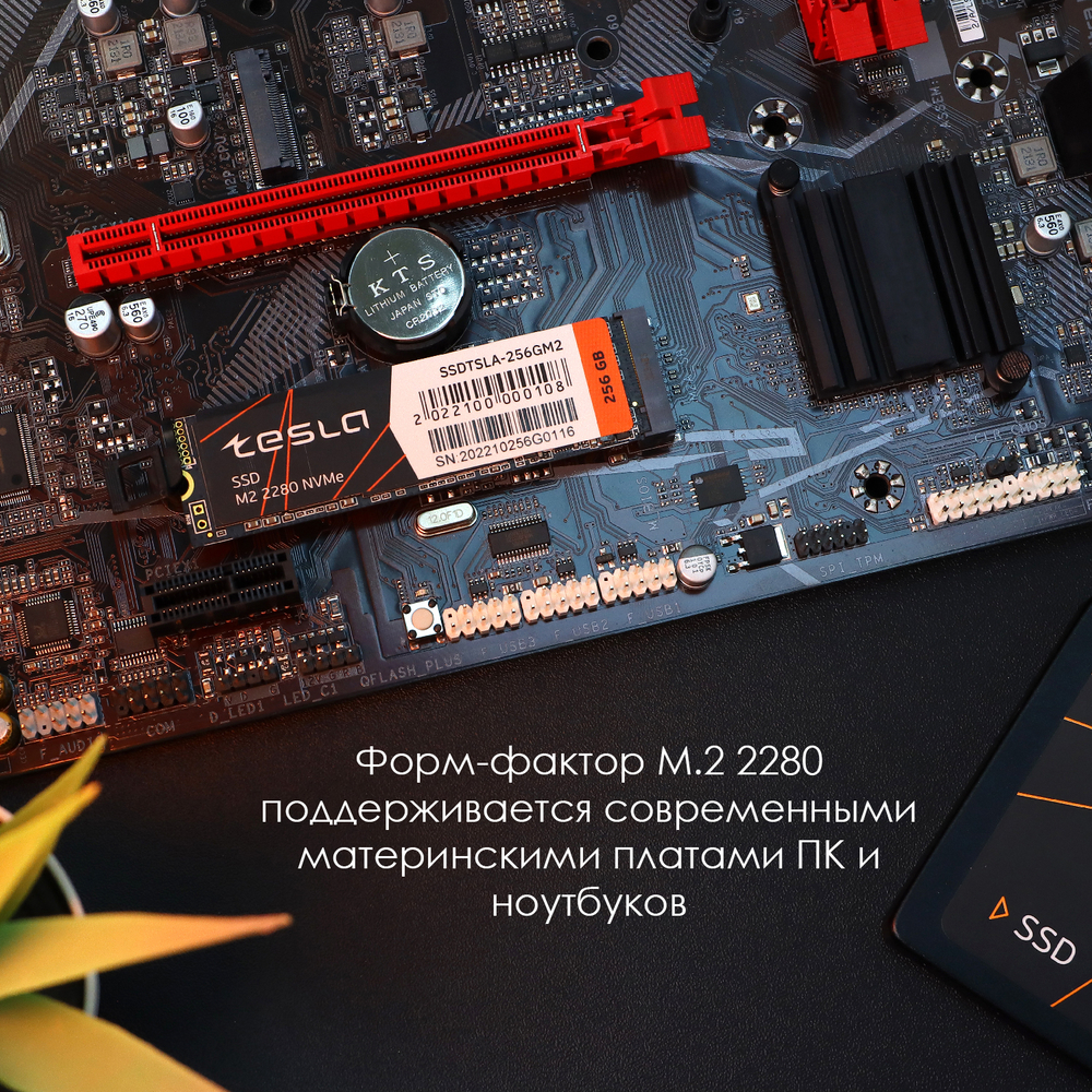 SSD TESLA 256Гб, M.2 2280, NVMe, Bulk, TLC, PCIe3.0, Чтение:3100мб/с, Запись:2500мб/с (SSDTSLA-256GM2)