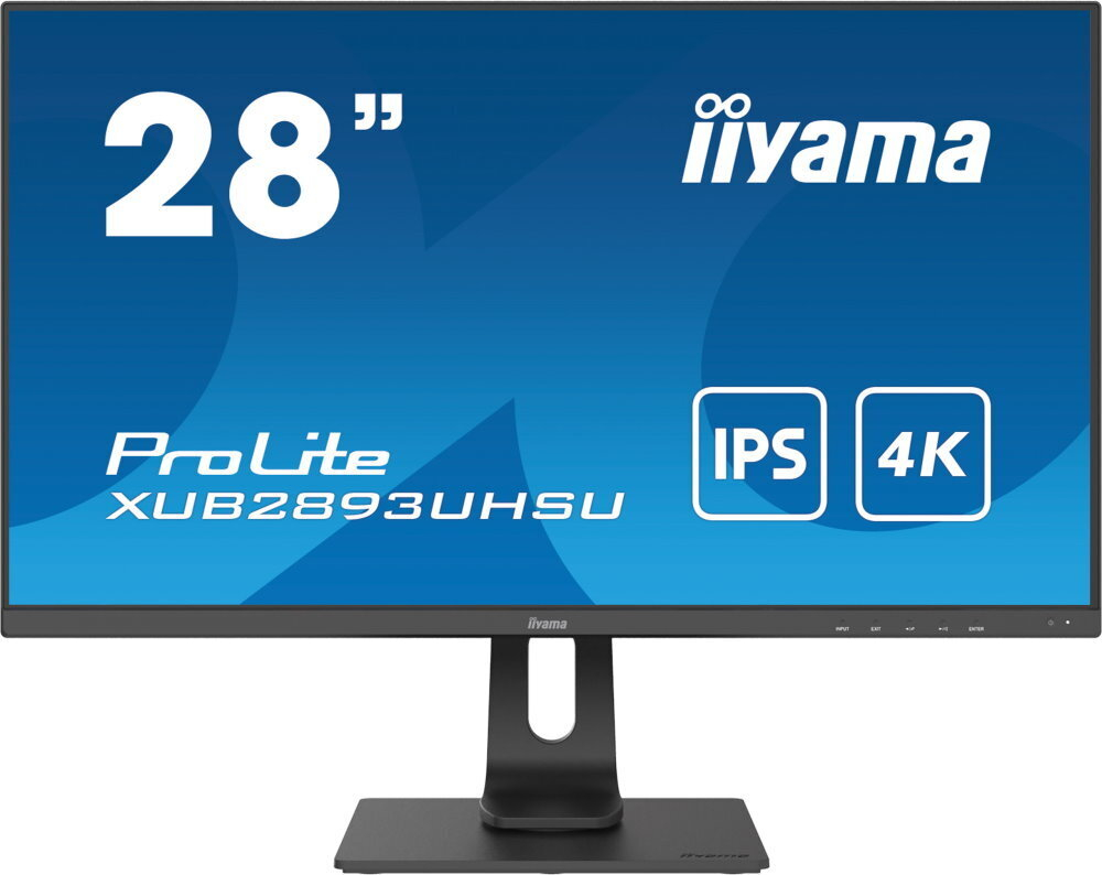 Монитор 28" Iiyama ProLite (XUB2893UHSU-B1)