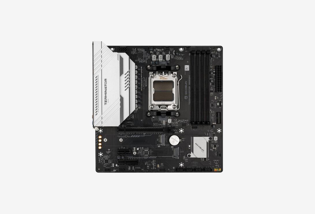 MS-Terminator B650M_01251031120414