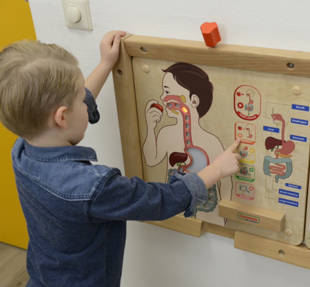 Панель Пищеварительная система