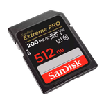 SDSDXXD-512G-GN4IN