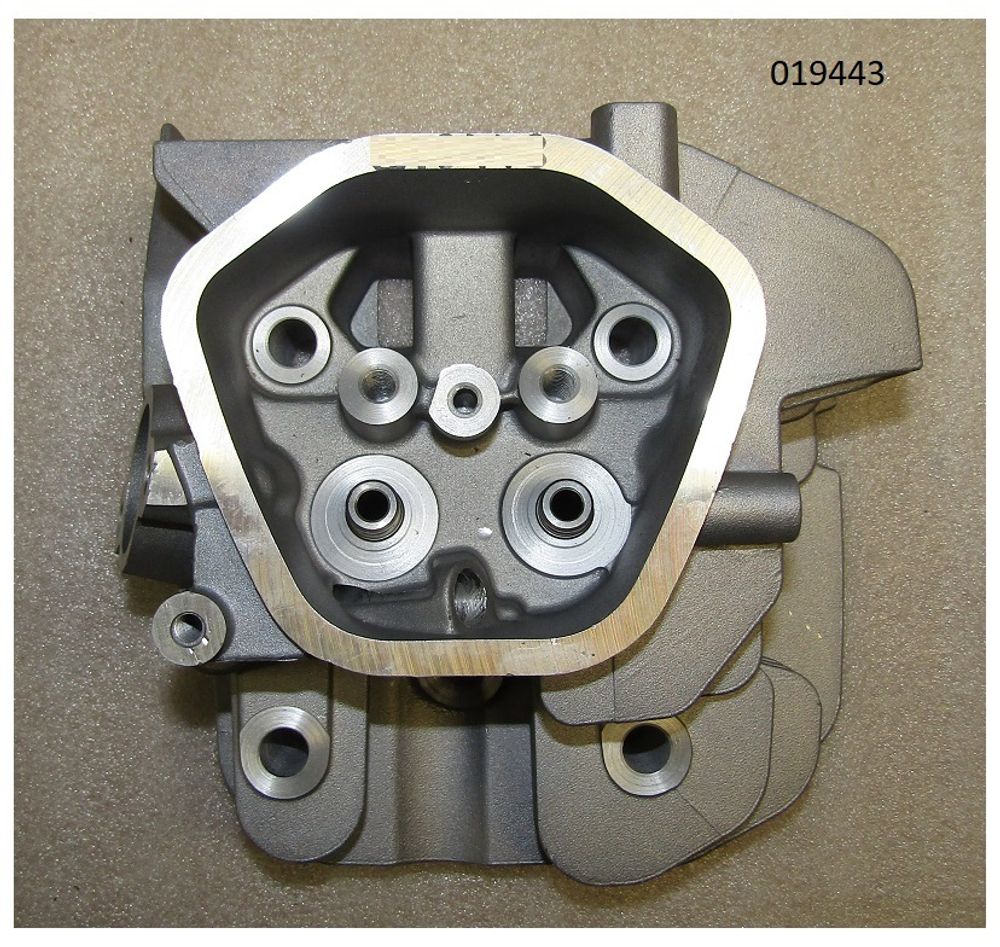 Головка блока цилиндра бензинового двигателя (седла+втулки) Excalibur S420/LB190/Cylinder head comp