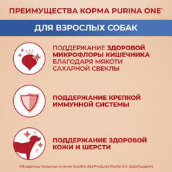 Сухой корм для собак Purina ONE Adult для средних и крупных пород, с ягненком и рисом, 10 кг