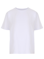 Футболка BOSTON