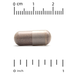 Super Nutrition, экстракт корицы, 60 растительных капсул (250 мг в 1 капсуле)