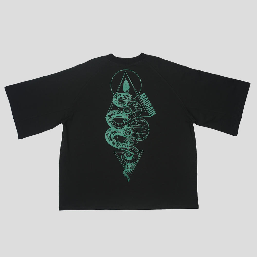 Футболка Реглан SNAKE