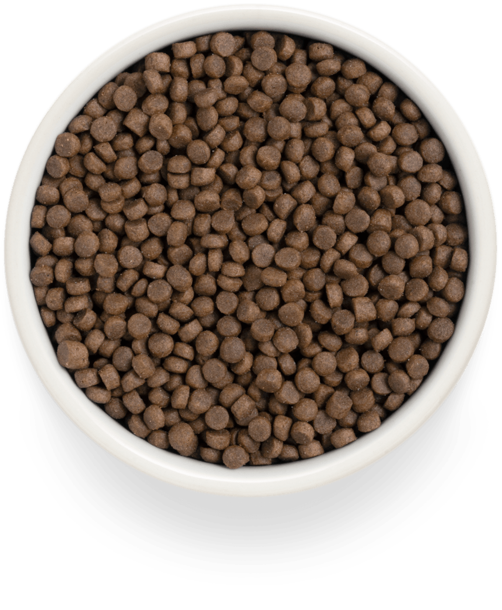 Premier cat lamb & turkey sterilised ягненка с индейкой для кошек