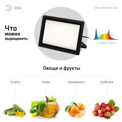 Фитопрожектор для растений светодиодный ЭРА FITO-200W-Ra90-LED полного спектра, профессиональный 200 Вт