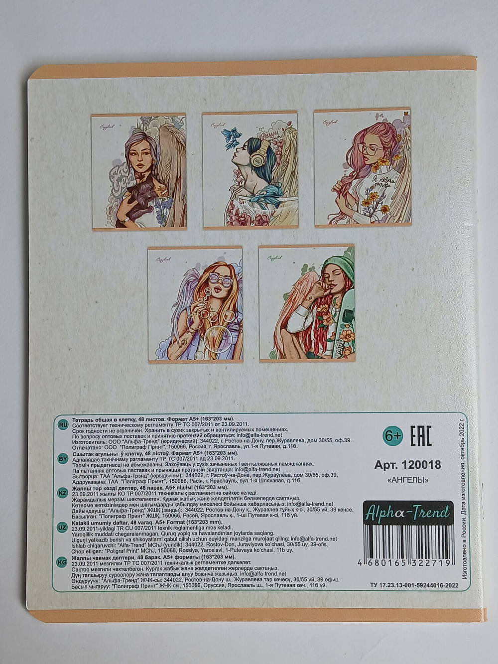 Тетради 48 листа А5+.  "Ангелы", общая, клетка. Формат А5+ (163*203 мм). Арт.120018. С полями. Комплект 5 шт.