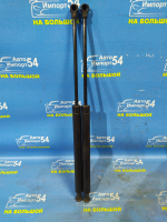 Амортизатор задней двери левый PEUGEOT 307 2006