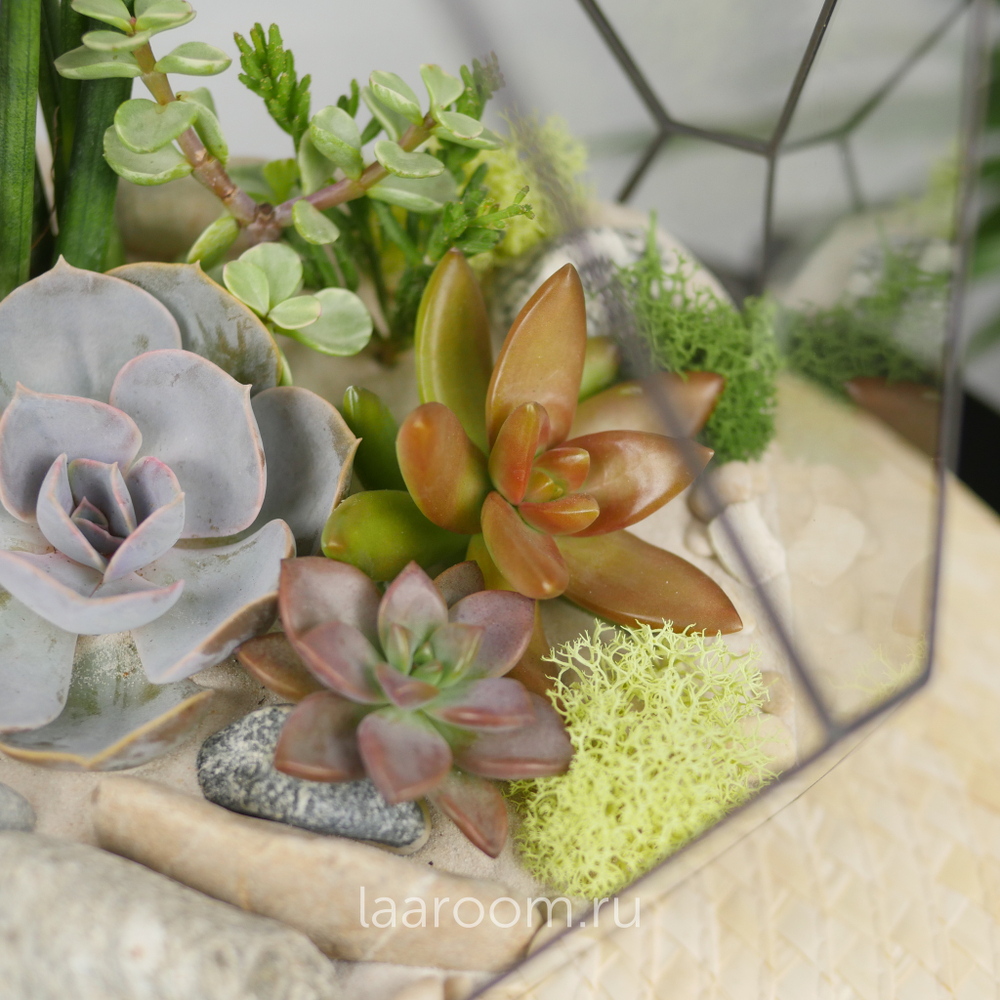 Флорариум с суккулентами Калипсо с озером