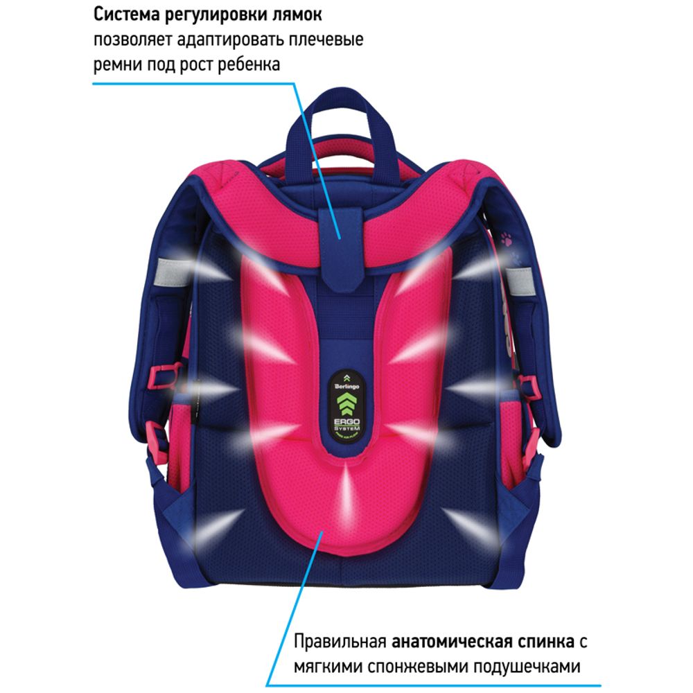 Ранец Berlingo Expert Surprised cat 37х28х16см, 2 отд., с анатомической спинкой