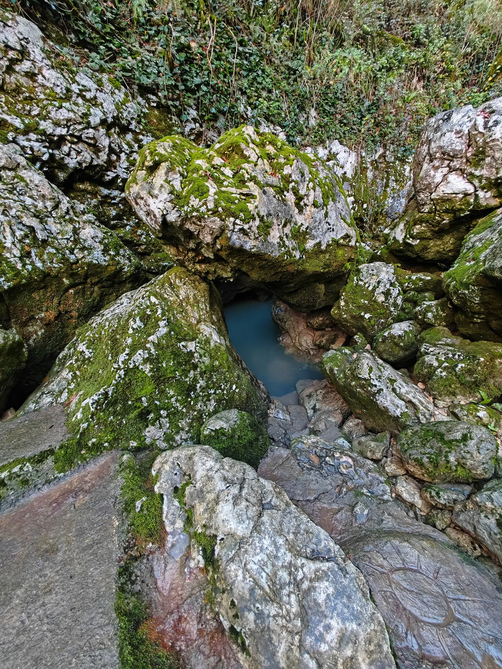 Много данных старая